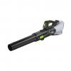 EGO LBX6000